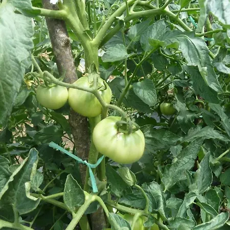 Daire Ivan-experience 3 Bedrooms *